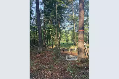 9470 Village Creek Road, Silsbee, TX 77656 - Photo 17