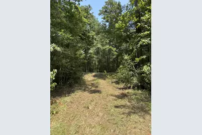 0 E State Highway 294, Grapeland, TX 75844 - Photo 5