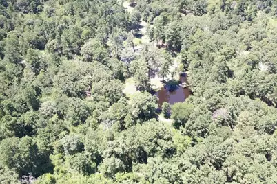 9175 Rocky Ridge Lane, Madisonville, TX 77864 - Photo 7