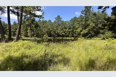 9175 Rocky Ridge Lane, Madisonville, TX 77864 - Photo 27