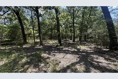 9175 Rocky Ridge Lane, Madisonville, TX 77864 - Photo 23