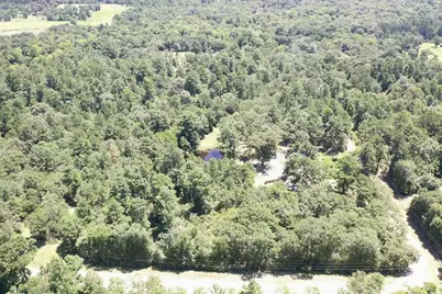 9175 Rocky Ridge Lane, Madisonville, TX 77864 - Photo 13