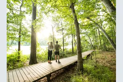 0 Larkspur Lane, New Waverly, TX 77358 - Photo 11