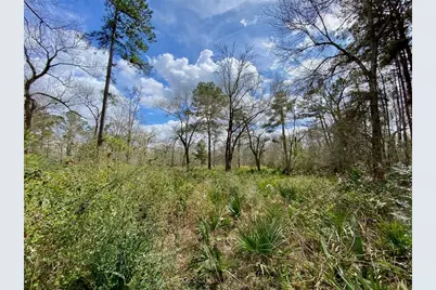 0 Scamper Lane, Crosby, TX 77532 - Photo 3