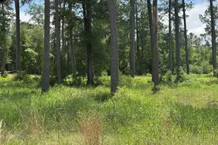 011 Private Road 6028, Brookeland, TX 75931 - Photo 7