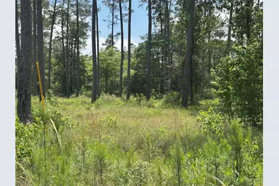 011 Private Road 6028, Brookeland, TX 75931 - Photo 3