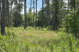 011 Private Road 6028, Brookeland, TX 75931 - Photo 3