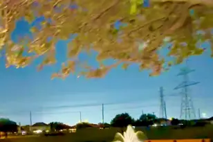 2623 Leopard Ct Ct, Katy, TX 77449 - Photo 49