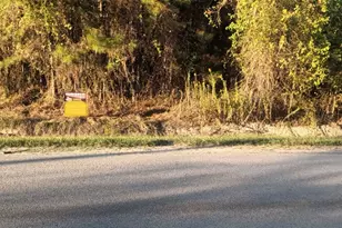 49 County Rd 3479A, Cleveland, TX 77327 - Photo 1