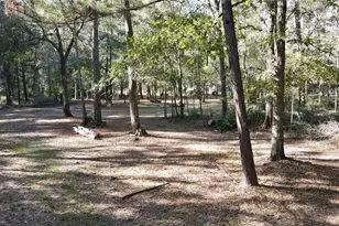 585 County Rd 3796, Cleveland, TX 77328 - Photo 21