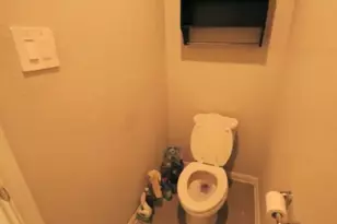 10831 Sugar Pne Ln, Rosharon, TX 77583 - Photo 23