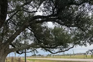 4779 Mixville Rd, Sealy, TX 77474 - Photo 29