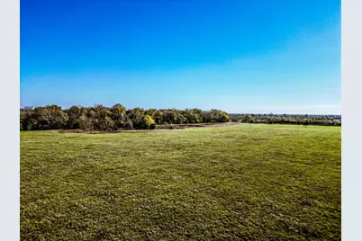 Tbd Fm 978, Normangee, TX 77871 - Photo 5