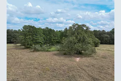 6275 County Road 206, Plantersville, TX 77363 - Photo 7