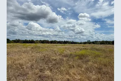 6275 County Road 206, Plantersville, TX 77363 - Photo 9
