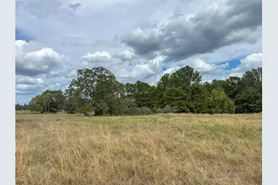 6275 County Road 206, Plantersville, TX 77363 - Photo 13