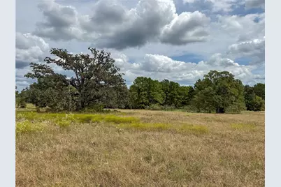 6275 County Road 206, Plantersville, TX 77363 - Photo 11
