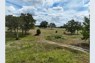 6275 County Road 206, Plantersville, TX 77363 - Photo 1