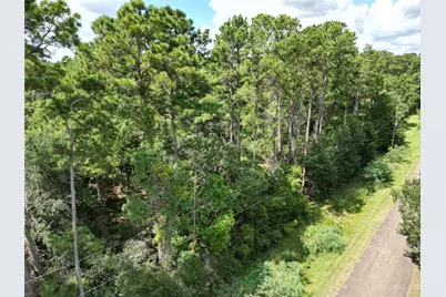 9416 Pecan Road, Plantersville, TX 77363 - Photo 3