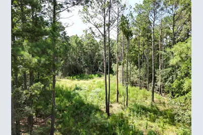 9416 Pecan Road, Plantersville, TX 77363 - Photo 5