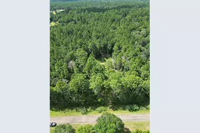 9416 Pecan Road, Plantersville, TX 77363 - Photo 7