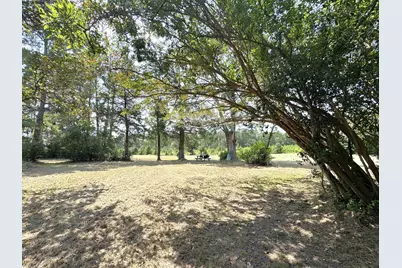 Tbd S Pitzer Street, Colmesneil, TX 75938 - Photo 41