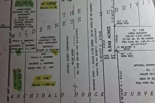 Tbd Palmetto, Magnolia, TX 77356 - Photo 27