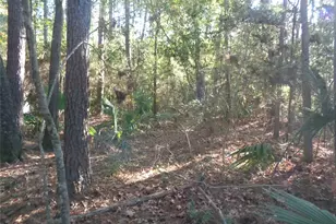 Tbd Palmetto, Magnolia, TX 77356 - Photo 3