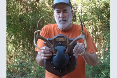 Tbd Palmetto, Magnolia, TX 77356 - Photo 25