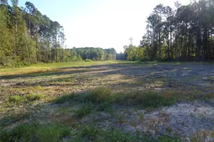 Tbd Palmetto, Magnolia, TX 77356 - Photo 11