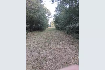 Tbd Palmetto, Magnolia, TX 77356 - Photo 29