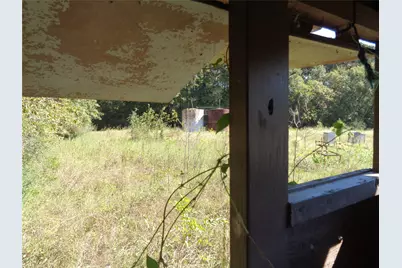 Tbd Palmetto, Magnolia, TX 77356 - Photo 9