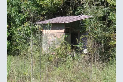 Tbd Palmetto, Magnolia, TX 77356 - Photo 7