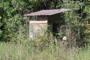 Tbd Palmetto, Magnolia, TX 77356 - Photo 7