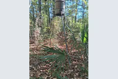 Tbd Palmetto, Magnolia, TX 77356 - Photo 19