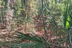 Tbd Palmetto, Magnolia, TX 77356 - Photo 19