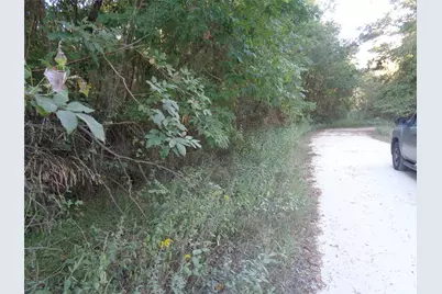 Tbd Palmetto, Magnolia, TX 77356 - Photo 15