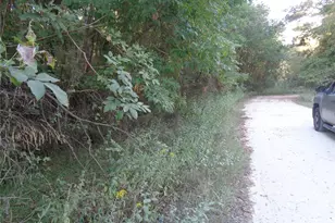 Tbd Palmetto, Magnolia, TX 77356 - Photo 15