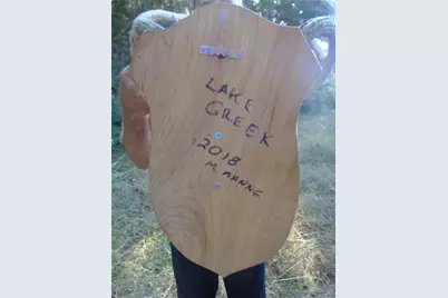 Tbd Palmetto, Magnolia, TX 77356 - Photo 21