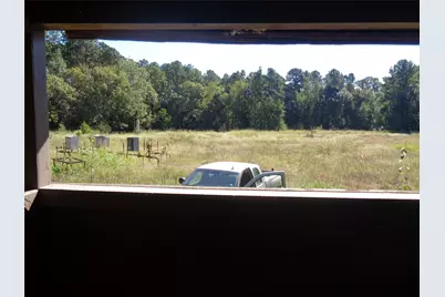 Tbd Palmetto, Magnolia, TX 77356 - Photo 5