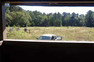 Tbd Palmetto, Magnolia, TX 77356 - Photo 5