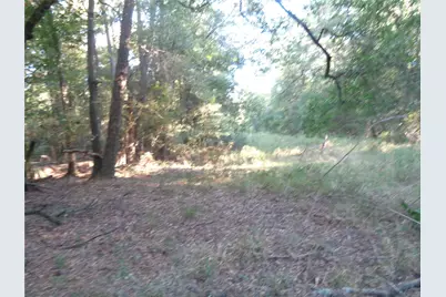 Tbd Palmetto, Magnolia, TX 77356 - Photo 13