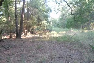 Tbd Palmetto, Magnolia, TX 77356 - Photo 13