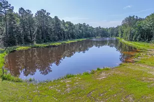 13075 FM 1485, Conroe, TX 77306 - Photo 9