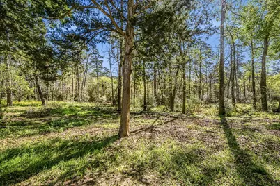 1337 Green Briar Drive, Huntsville, TX 77340 - Photo 47