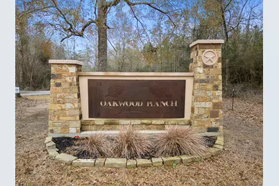 18322 Tammy Nell Court, Willis, TX 77378 - Photo 7