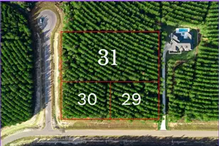 10517 Legends Rd, Willis, TX 77378 - Photo 9