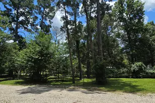 23806 Brushy Woods St, Hockley, TX 77447 - Photo 11