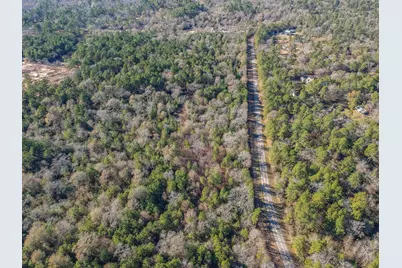 0 Baneberry Road, Magnolia, TX 77355 - Photo 7