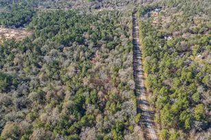 0 Baneberry Rd, Magnolia, TX 77355 - Photo 7